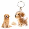 Pet memorial gifts dog hair keychain keepsake for dog lovers USA